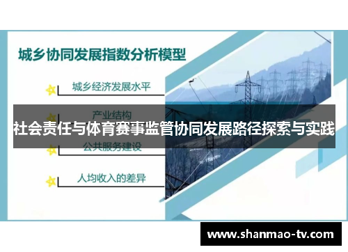 社会责任与体育赛事监管协同发展路径探索与实践